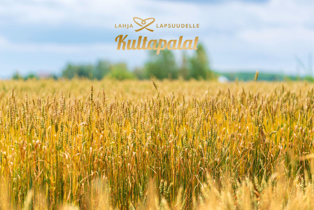 Kultapalat perhepäivähoitoketju laajentunut Etelä-Pohjanmaalle